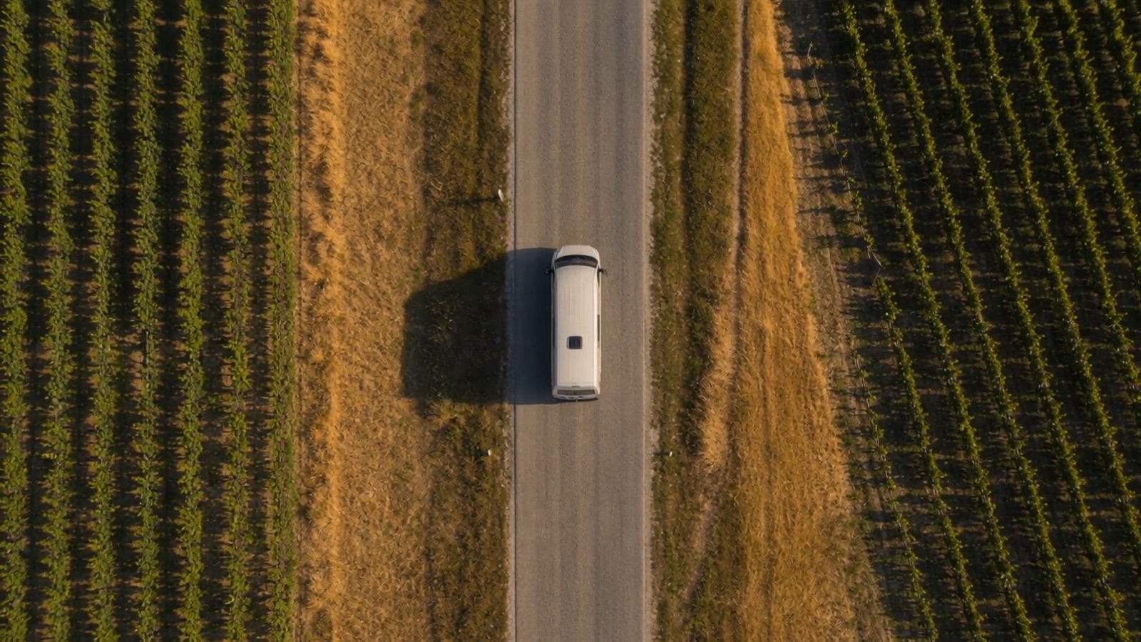 A campervan travelling along a quiet road
